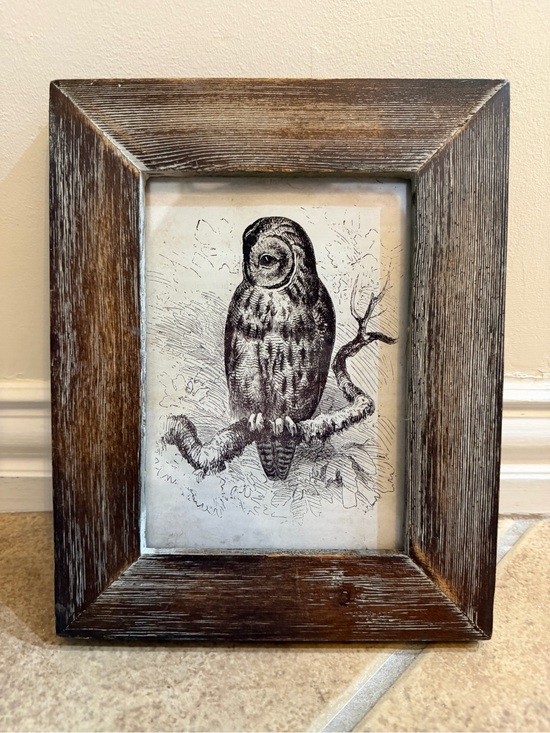 unbranded Other - “The Little Owl” Picture In Rustic Wood Frame Wall Art Print 9*8*1 2016